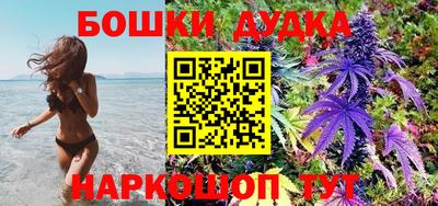 молекула духа Ставрополь